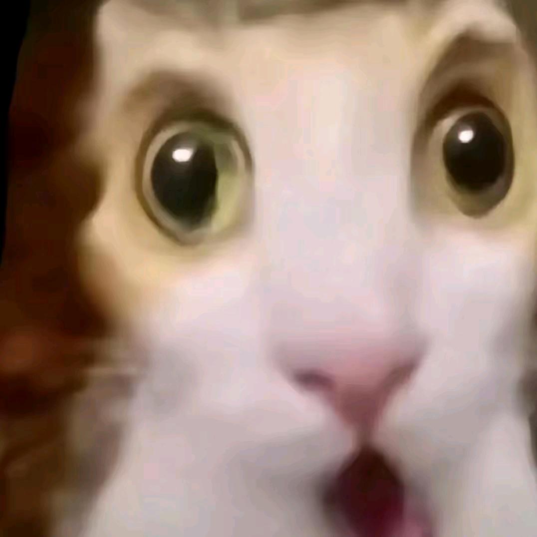 明明不是这样的