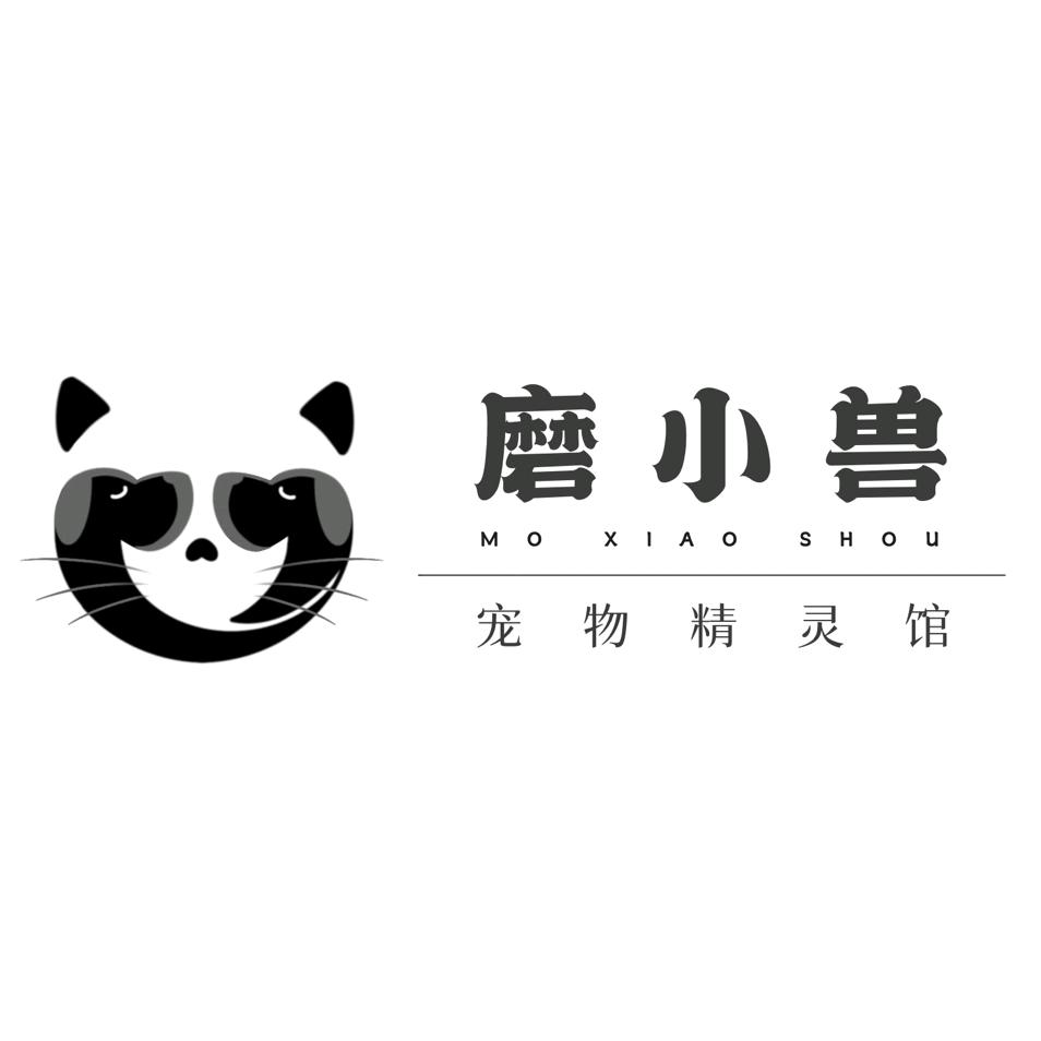 磨小兽宠物精灵馆