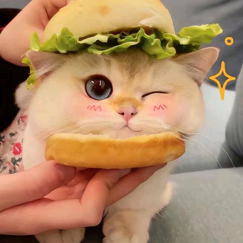 百事可乐不加冰🧁