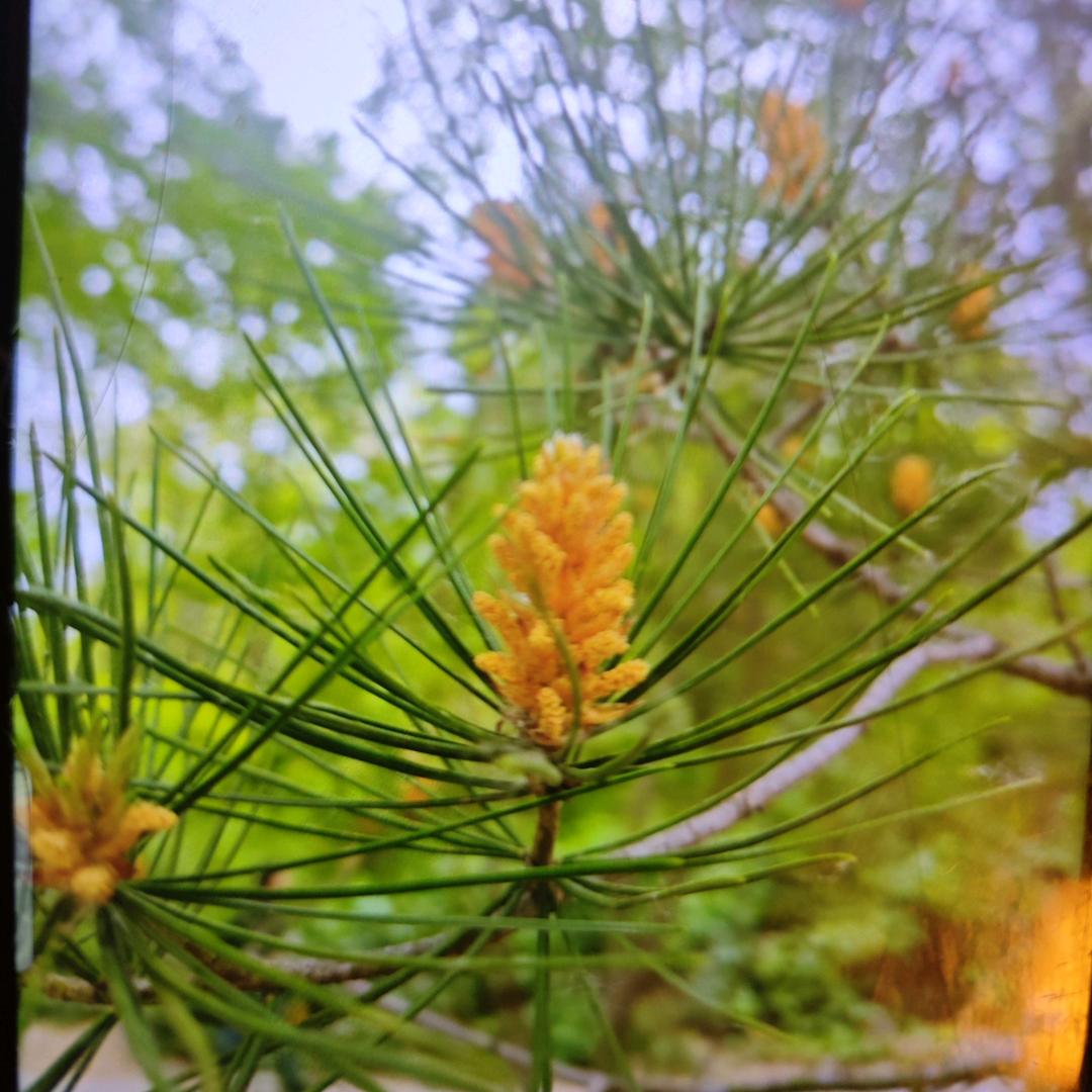 康康精选优品小店