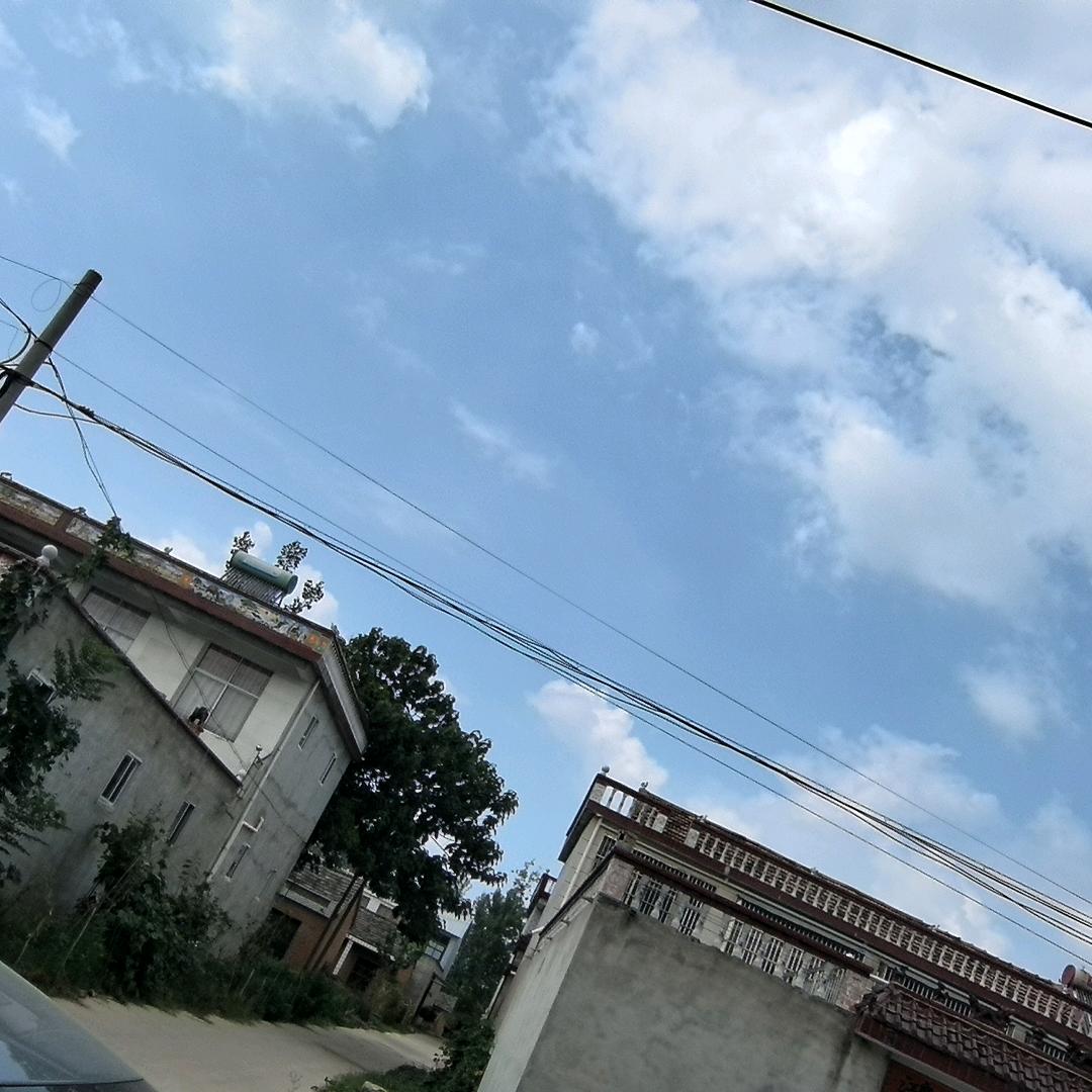 🦋余生随心