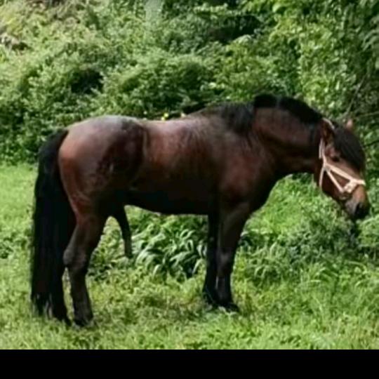 人生之路在路上奔跑