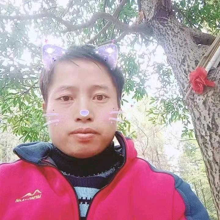 草莓杨梅