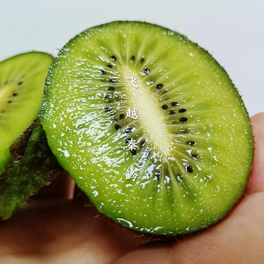 飞越秦岭果园（猕猴桃）