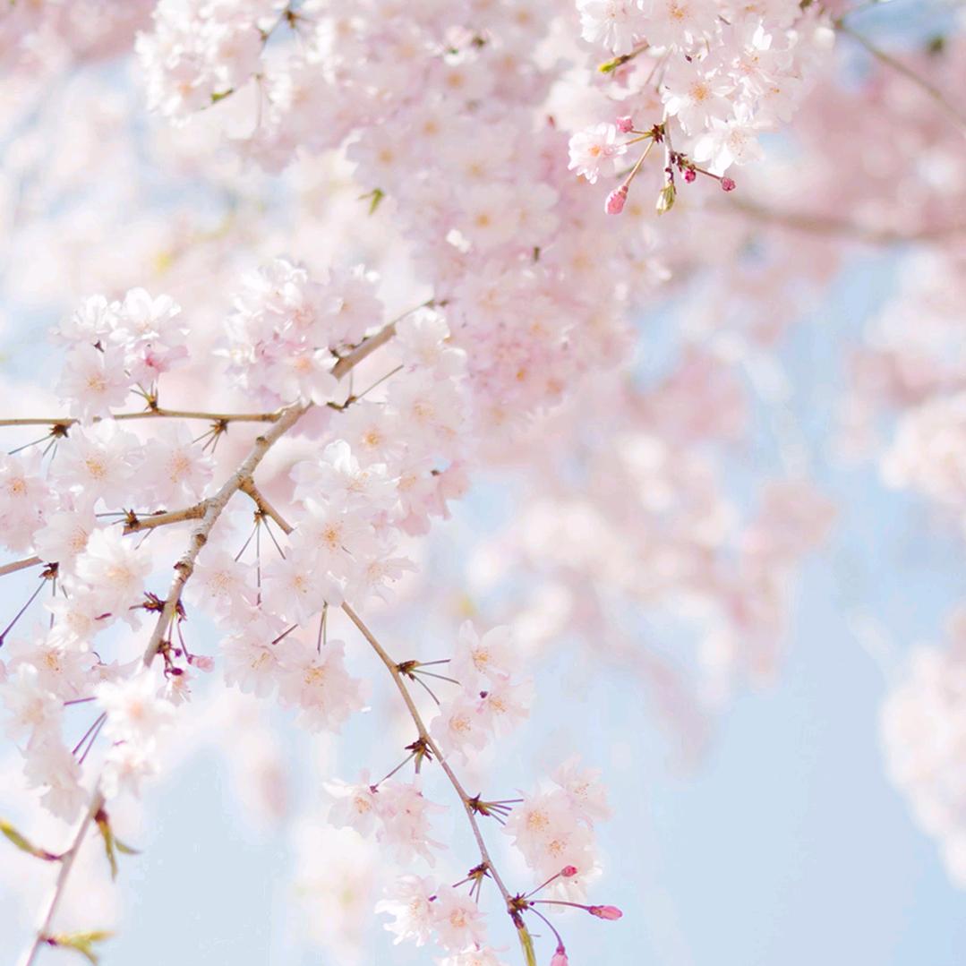 ꧁꫞陆💞陆꫞꧂