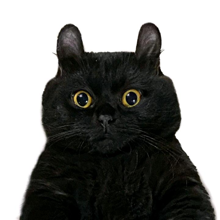 🌈百事可爱🌈