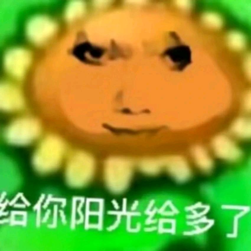 儒雅的向日葵