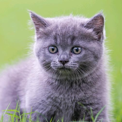 游💘💘💘玩！