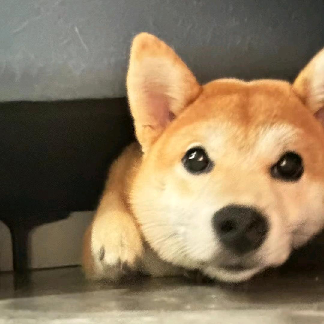 小文哥哥