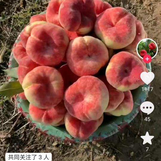 李家佐果品市场代收代办