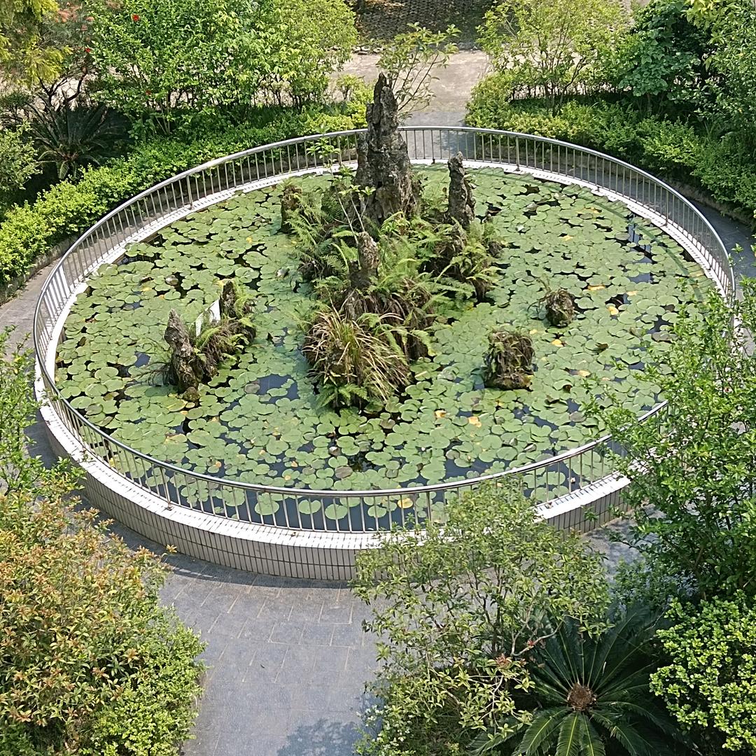 和善先锋队员——随风