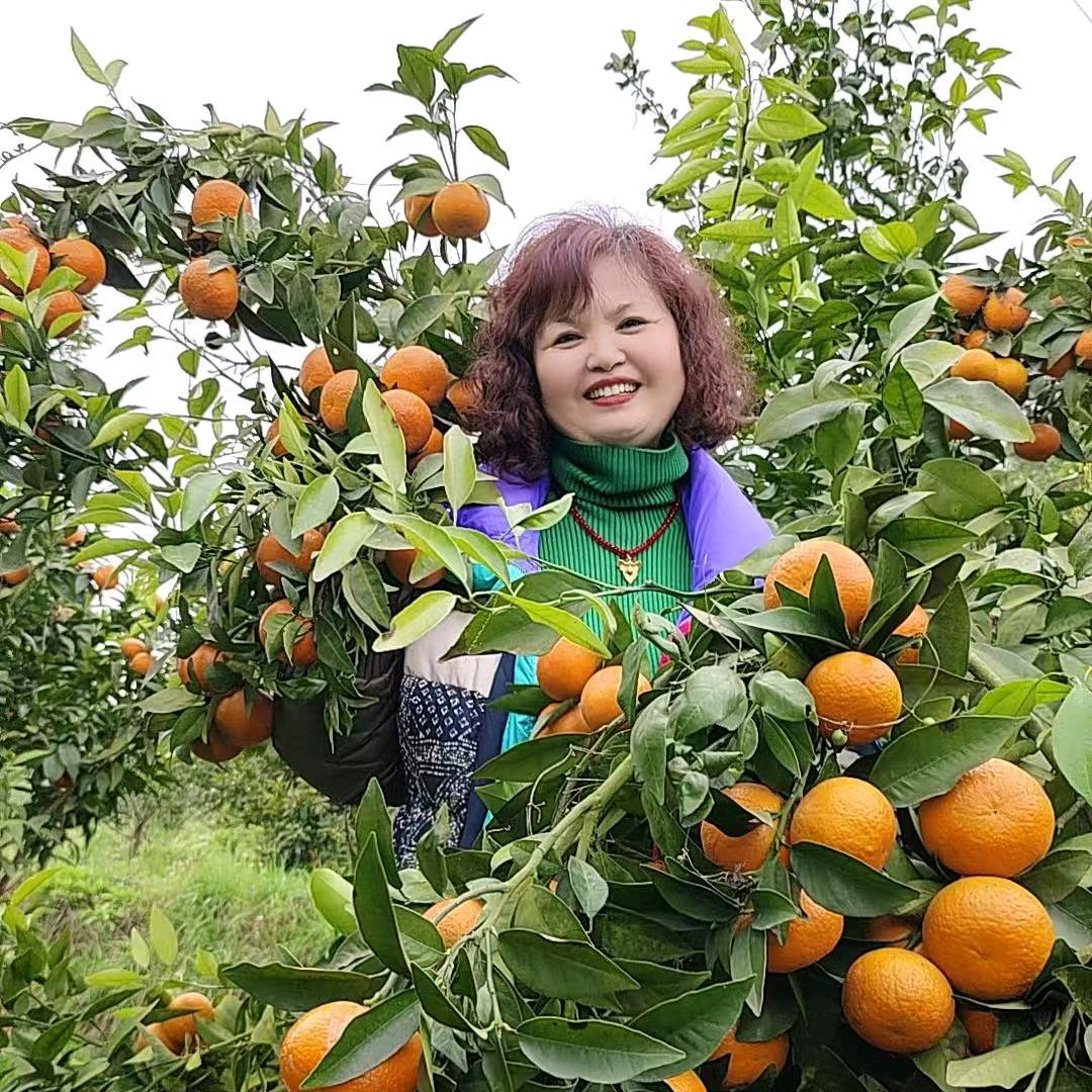 阳光的九妹