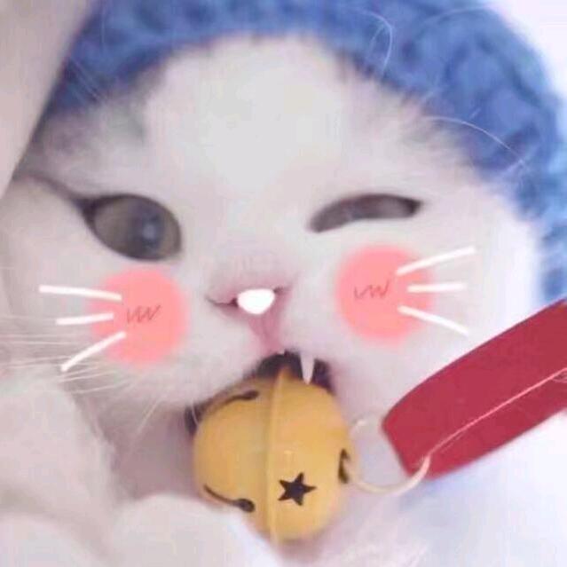 绯鸢