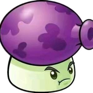 🟣🟣🟣🟣 🟣🟣🟣🟣