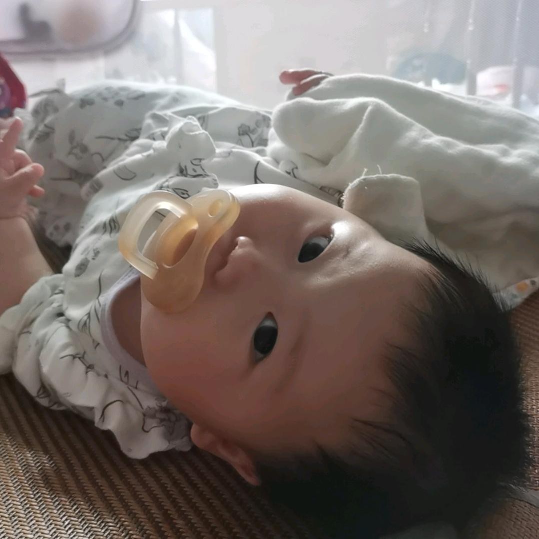 伊宝