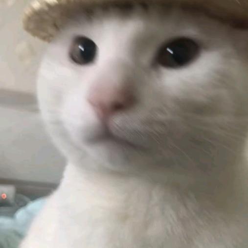 三言