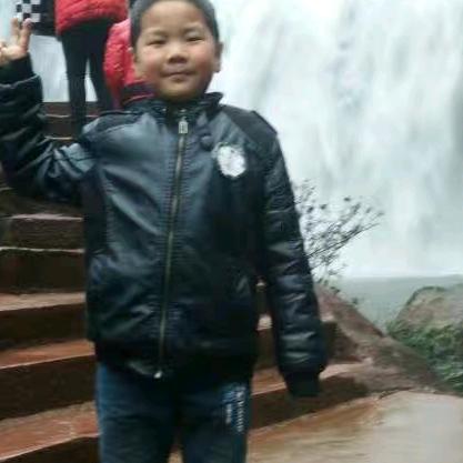 原生态林散养土鸡