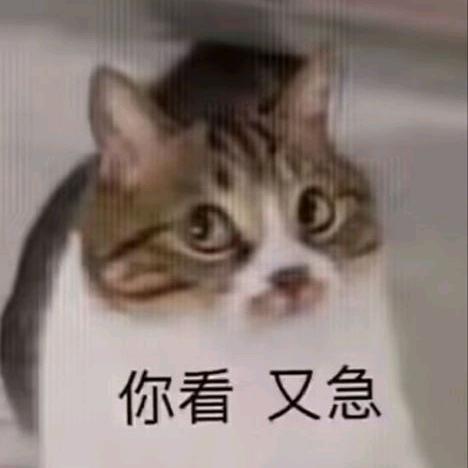 好热好热哦