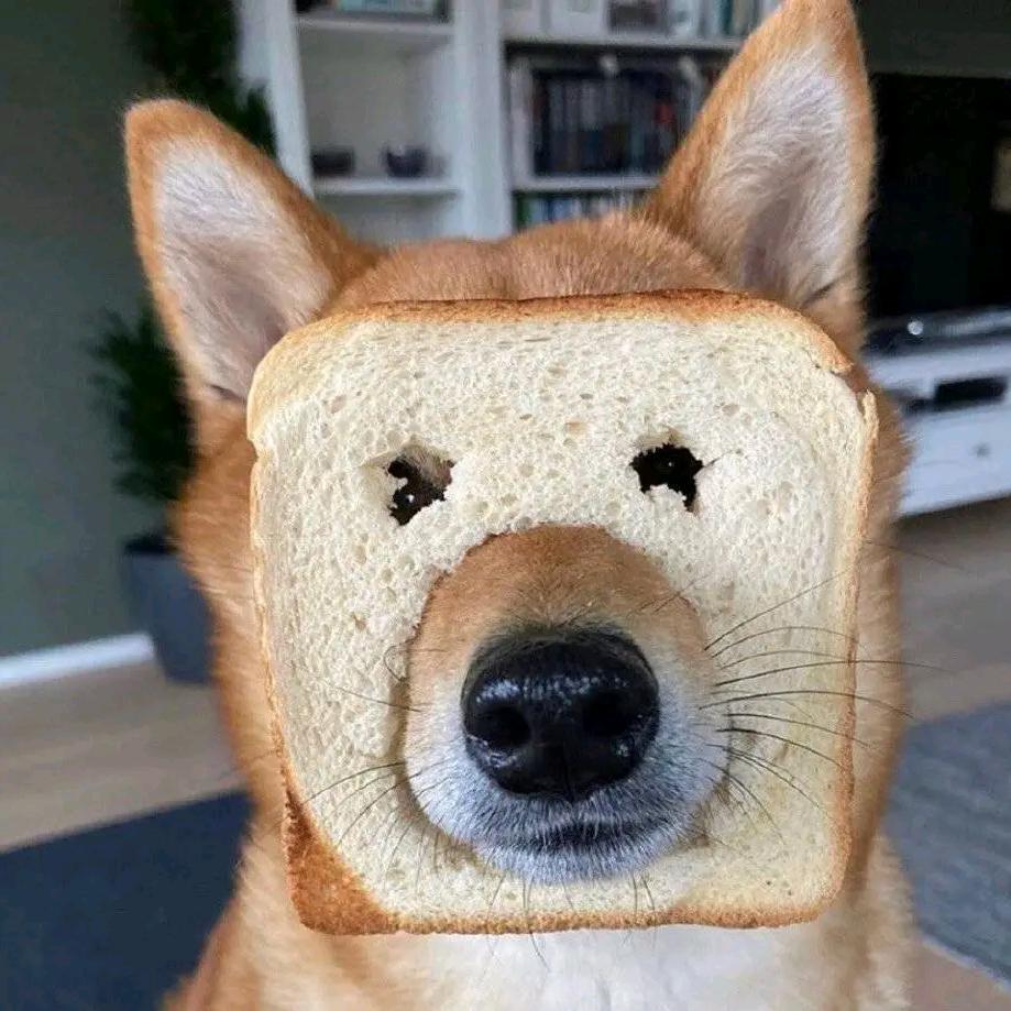 哆哆影视