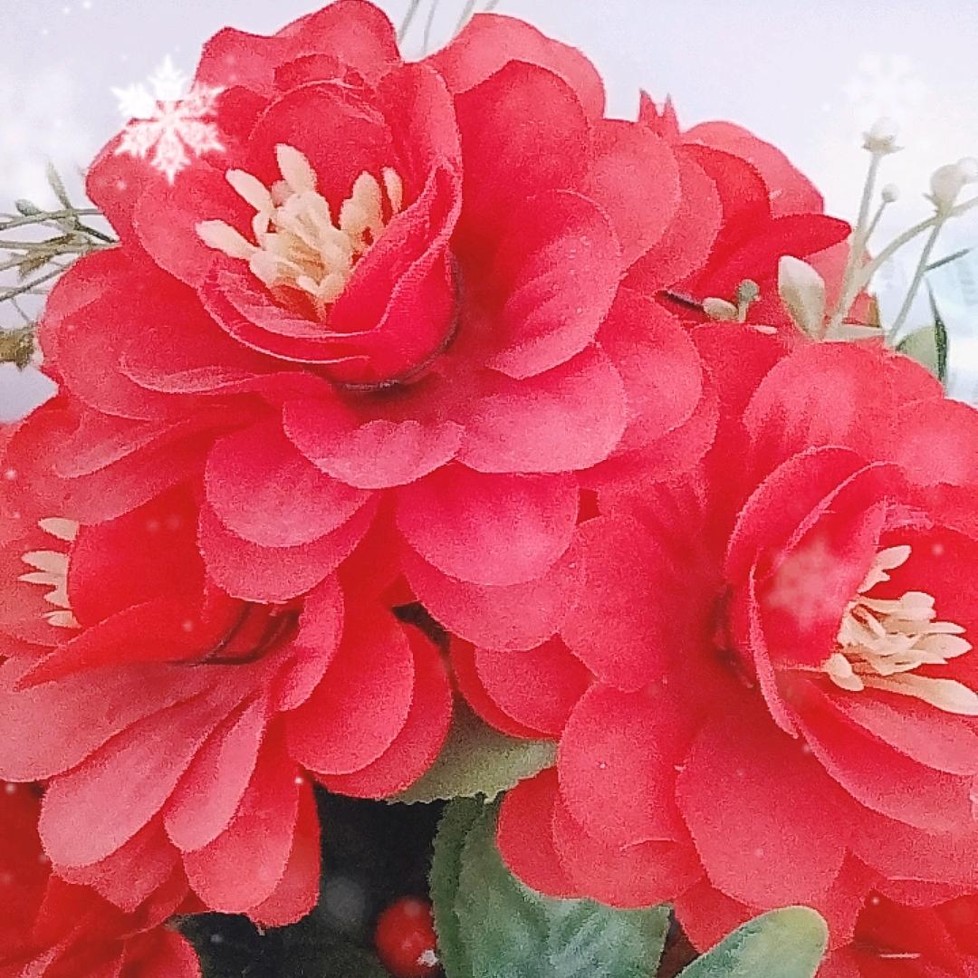 张福根