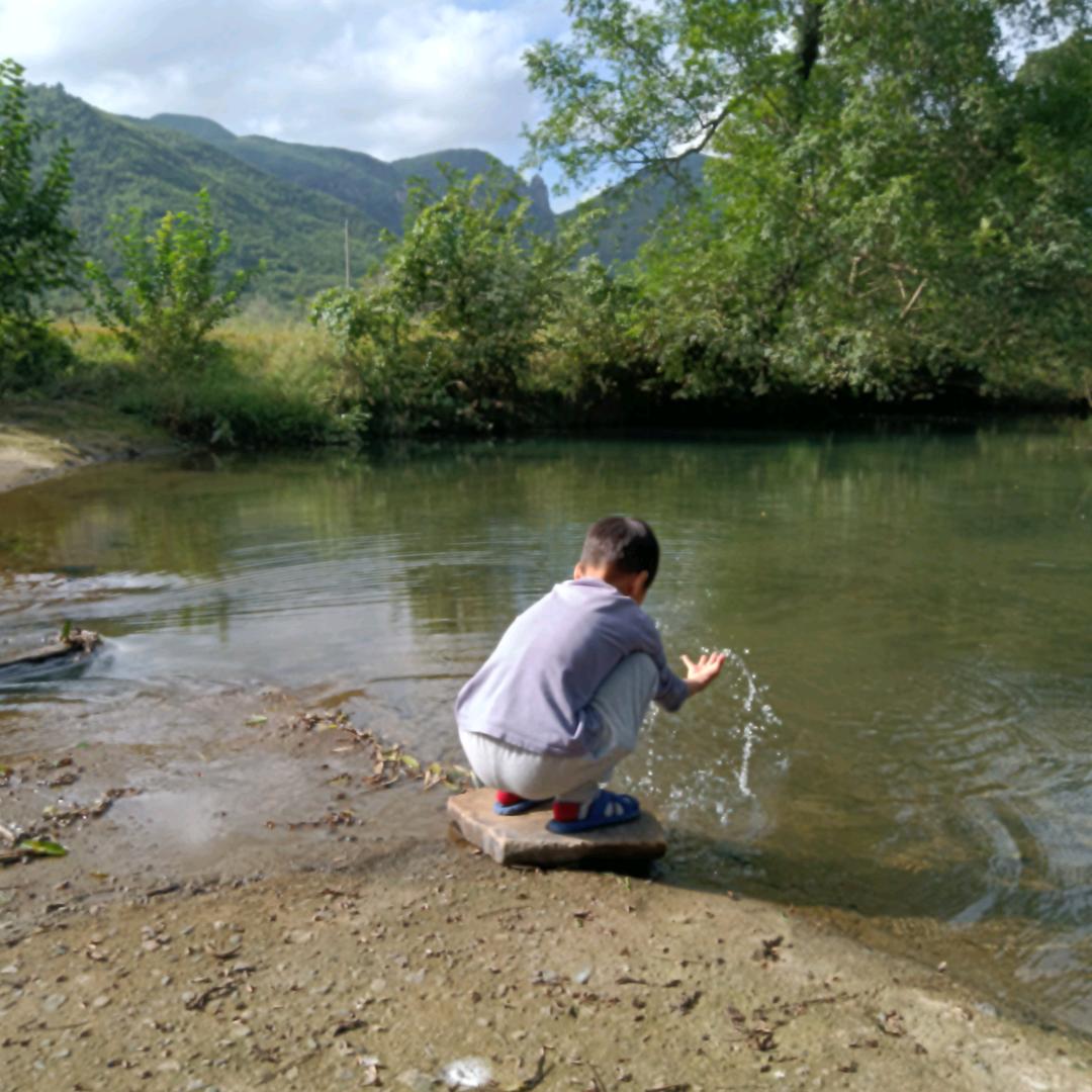 小溪里的小杂鱼