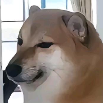 夜幕丶