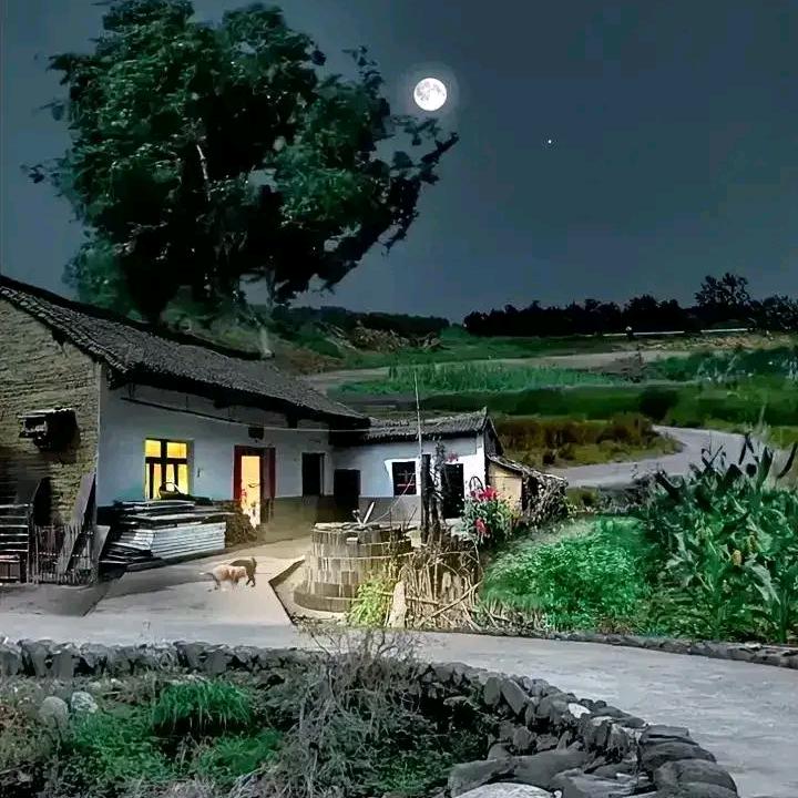 ༺೪ೣ🐲一生平安🐲ৡ༗࿐ི