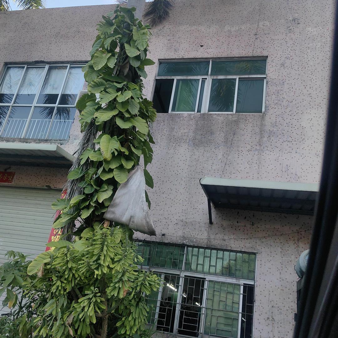 大家一起努力