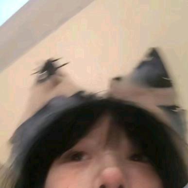 我不是小鱼🐟