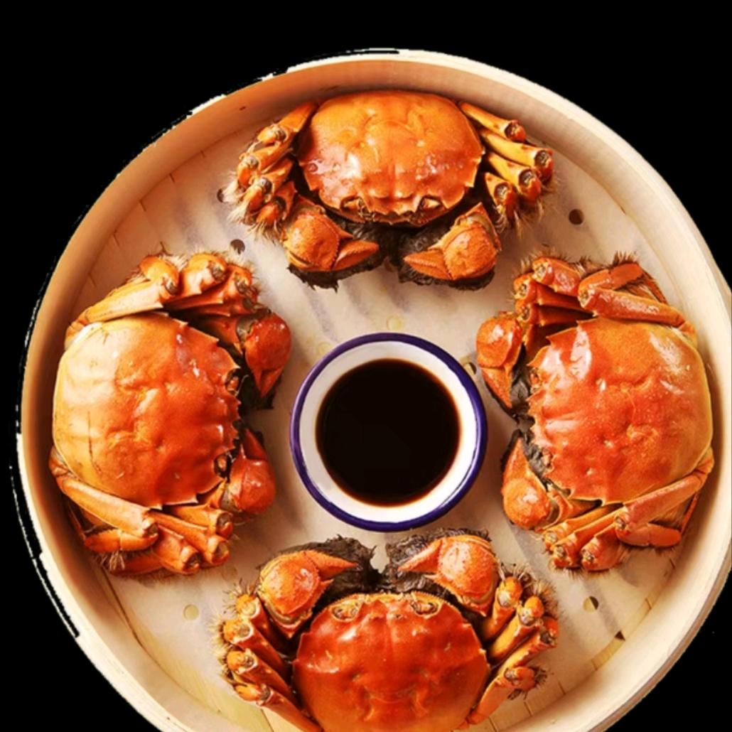 老包水产，精品依乐草