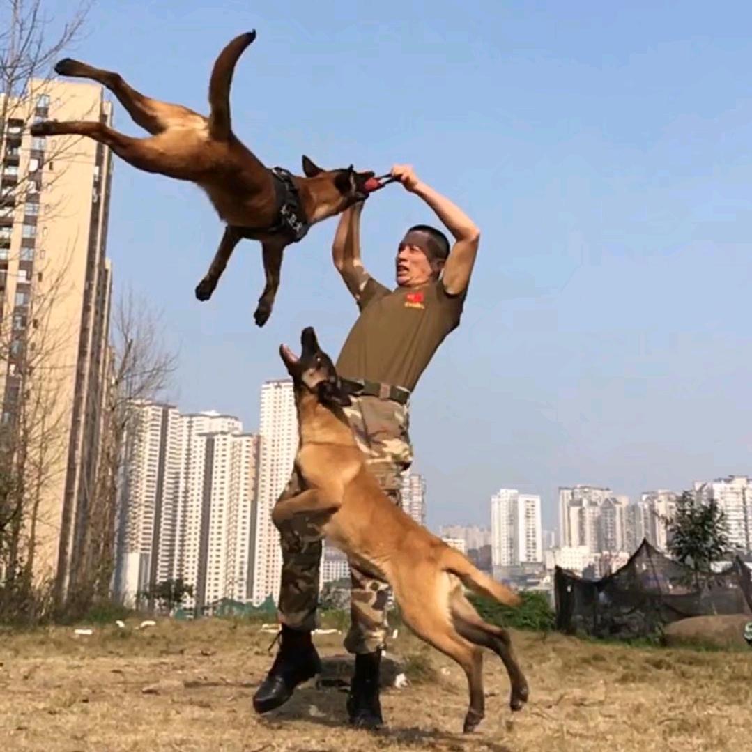 重庆曾二哥