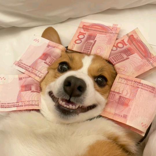 樱雪利亚