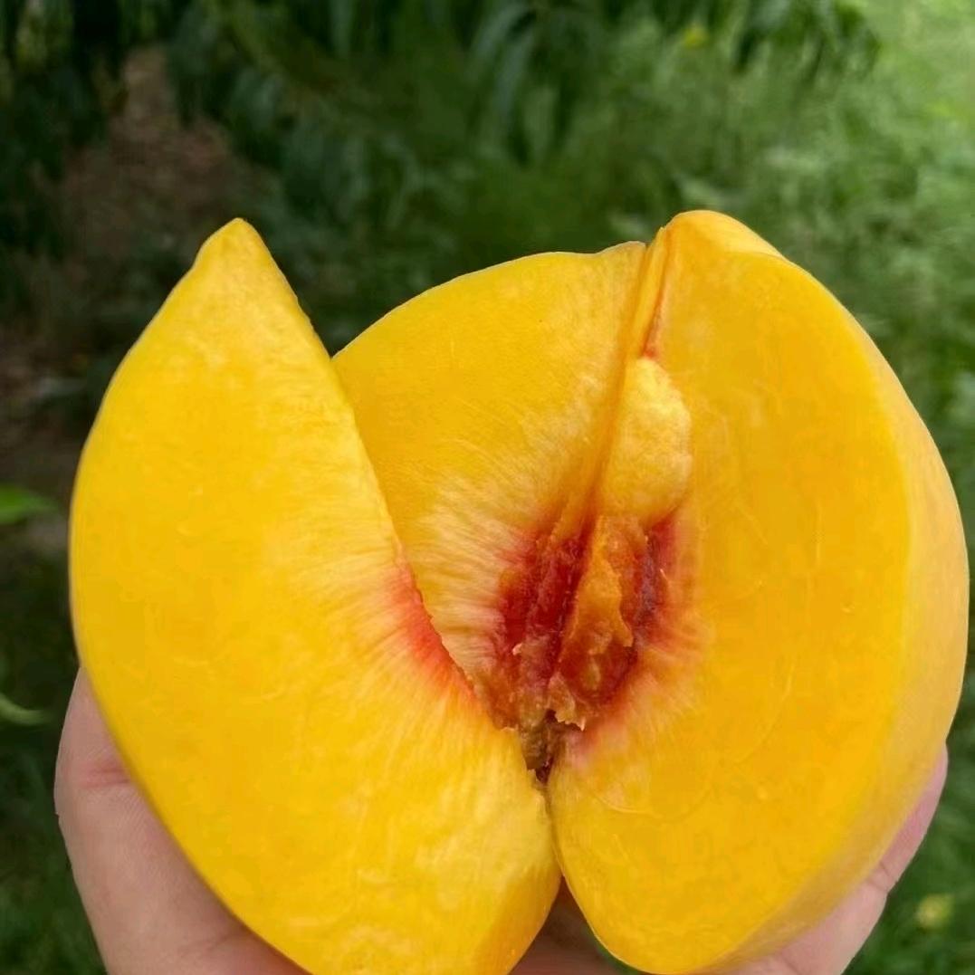 湖北大鹏供应链电商一件代发