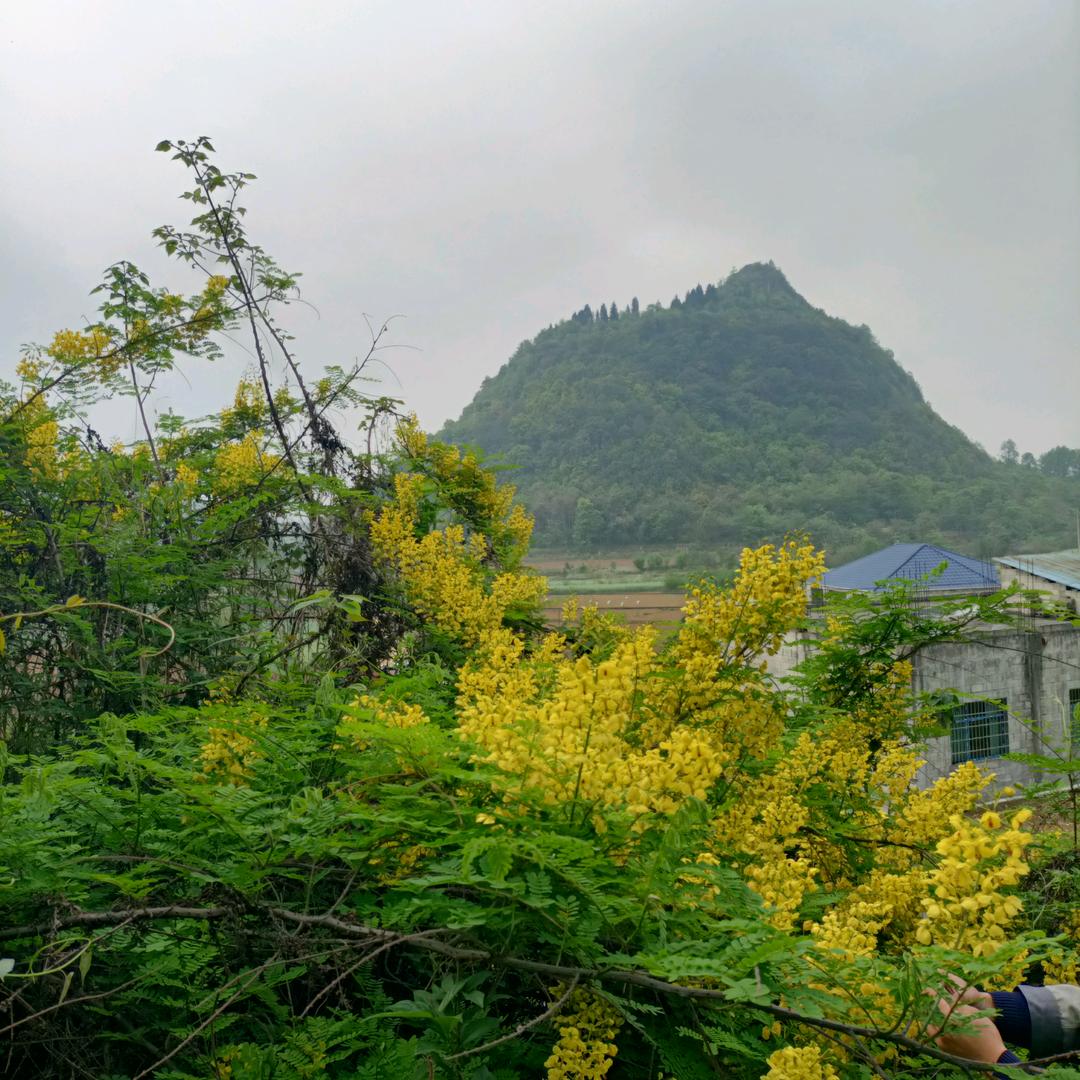 不用分手我想你了