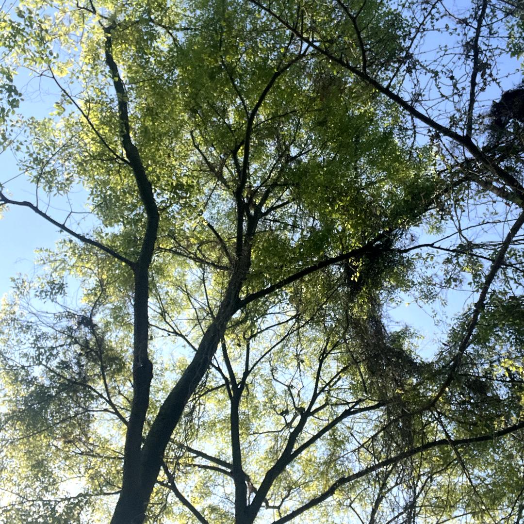 不会玩抖音