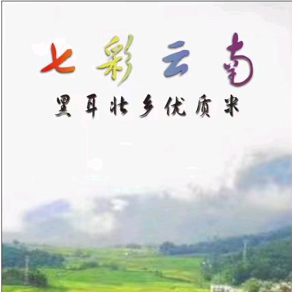乡货小哥