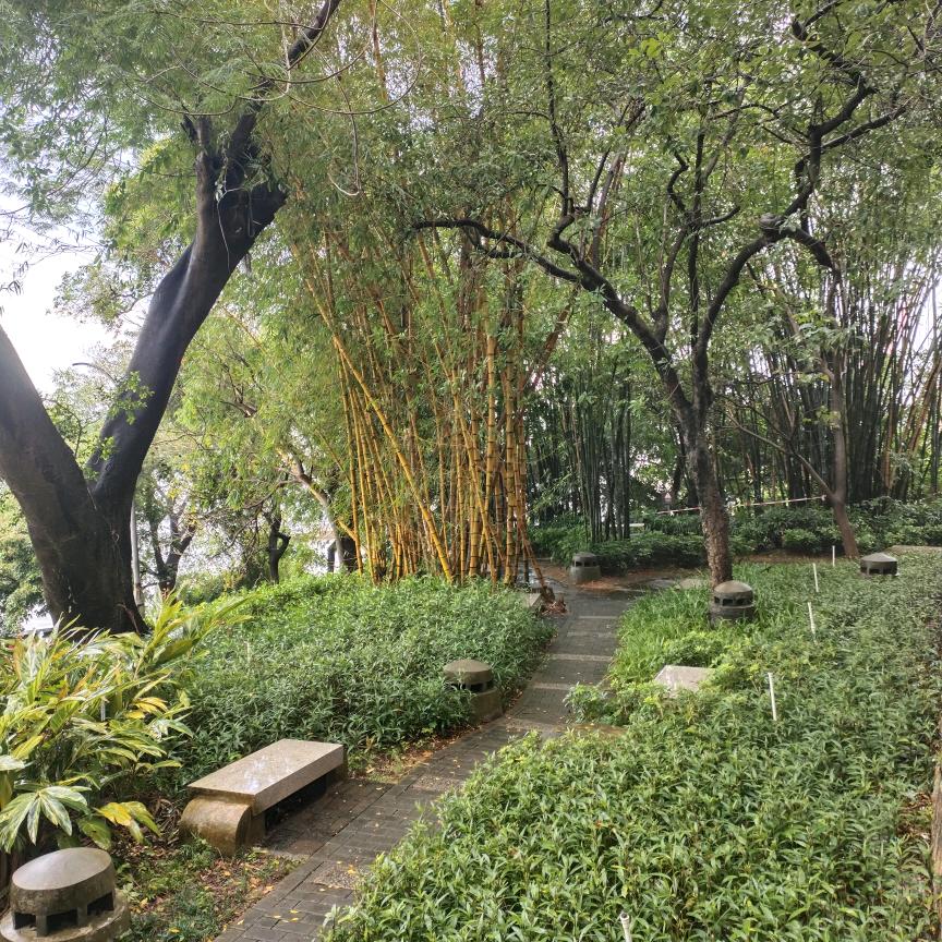 添添快乐