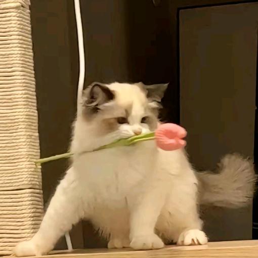 迁就你
