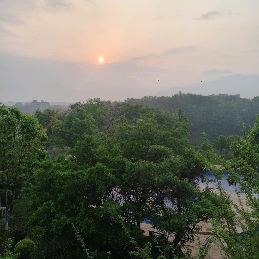 百家益  牛肉餐厅