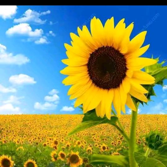 💘💘殇如💞此痛💔