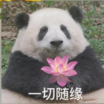 祝你一生平安