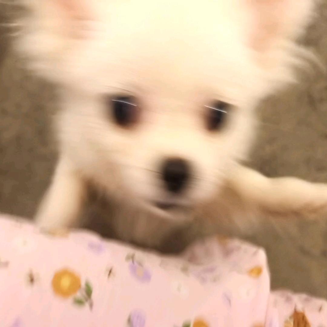 ｜𤣩丨