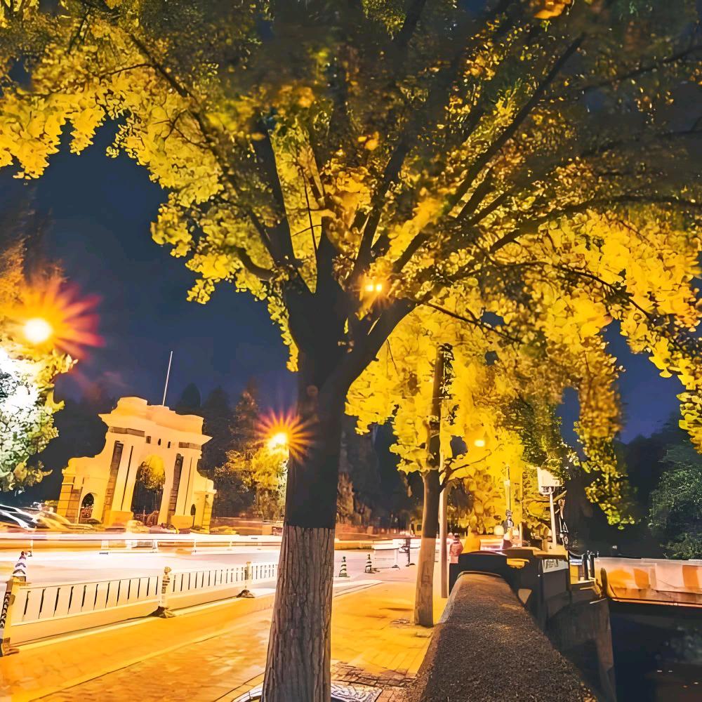 晚秋夜读
