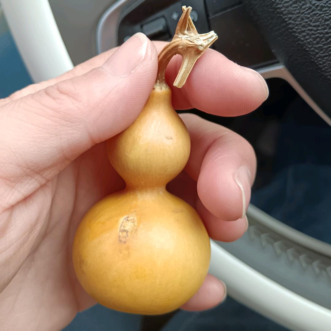 金莎🧚‍♂️🧚‍♂️🧚‍♂️