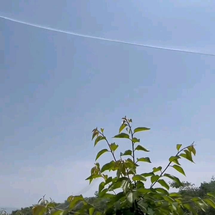 星星汽配