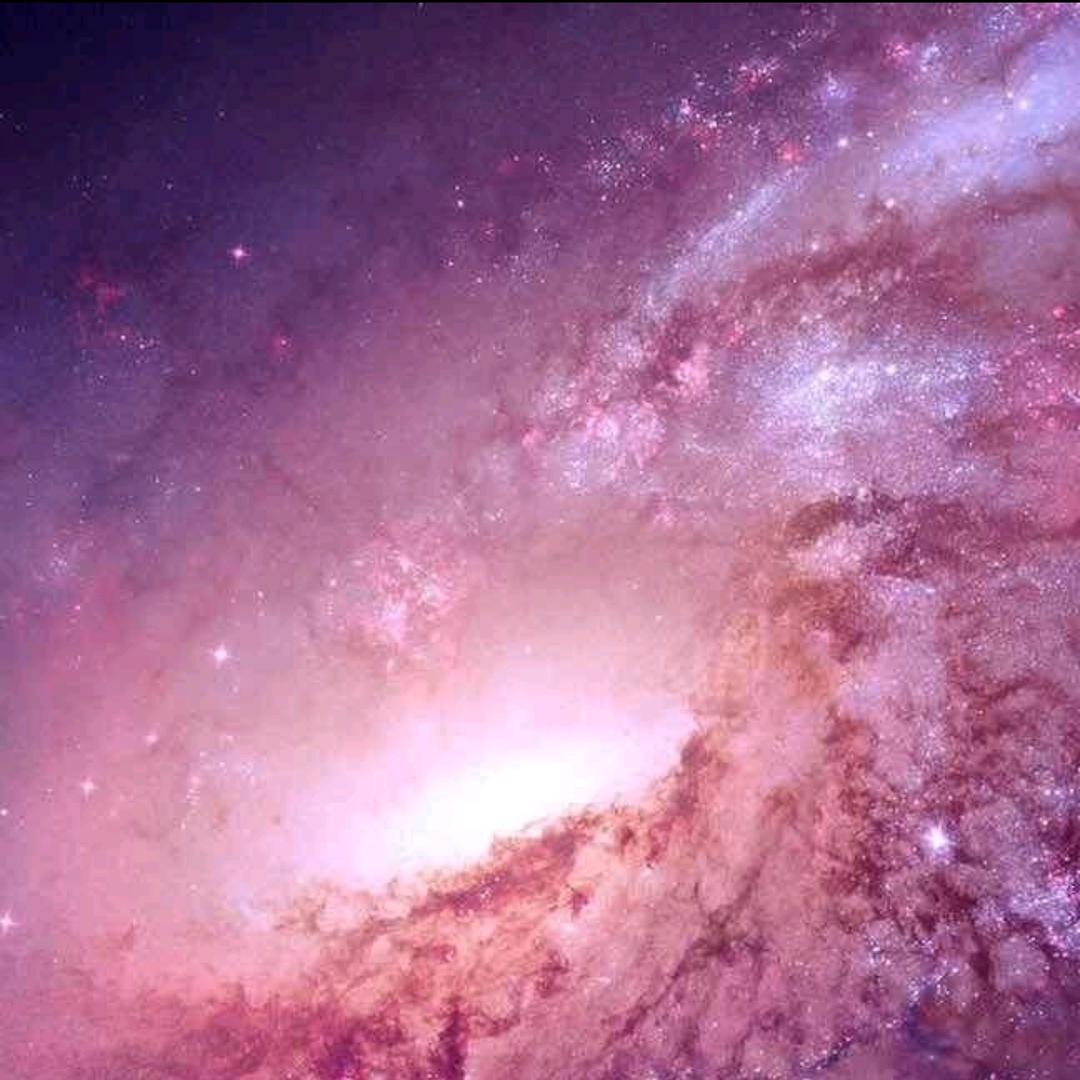 有机吃货曦（xi）瑶