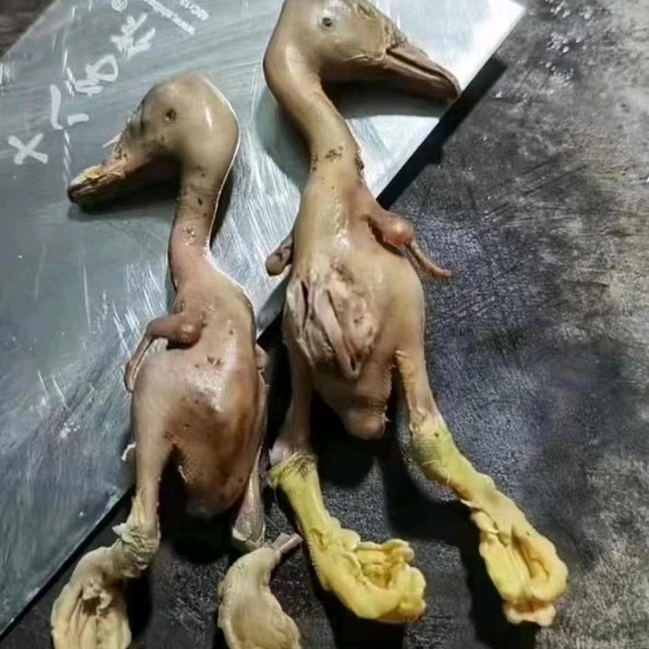 彪悍的人生还需要戚哥为你解释吗