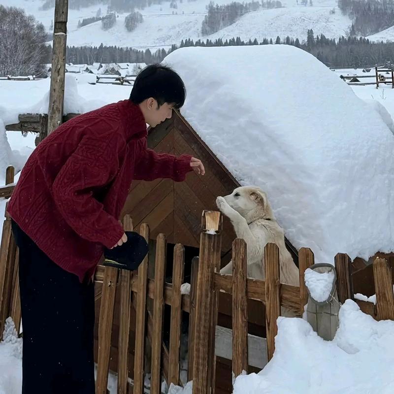 旺仔个球