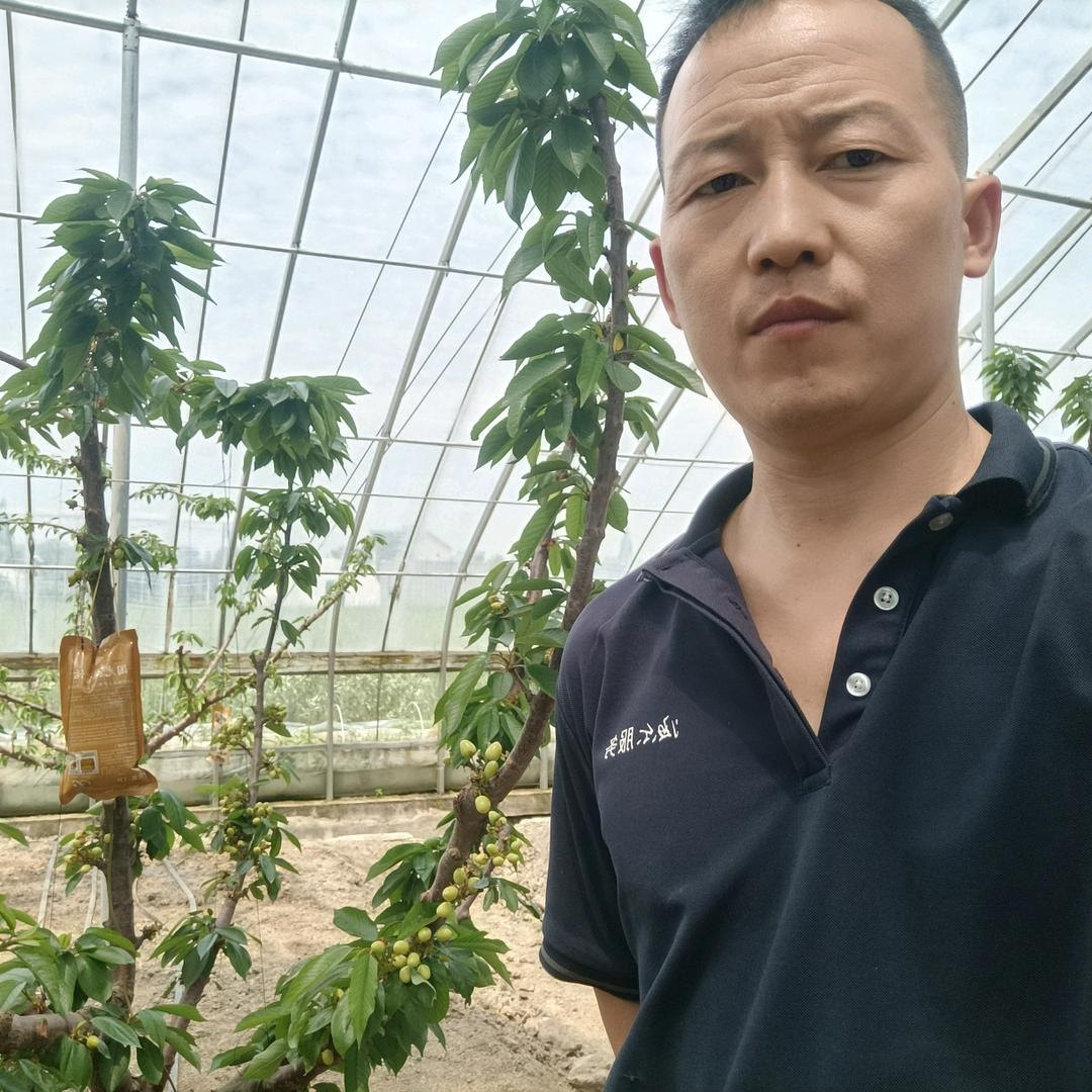 三哥，家电维修！！大樱桃，车厘子种植采摘