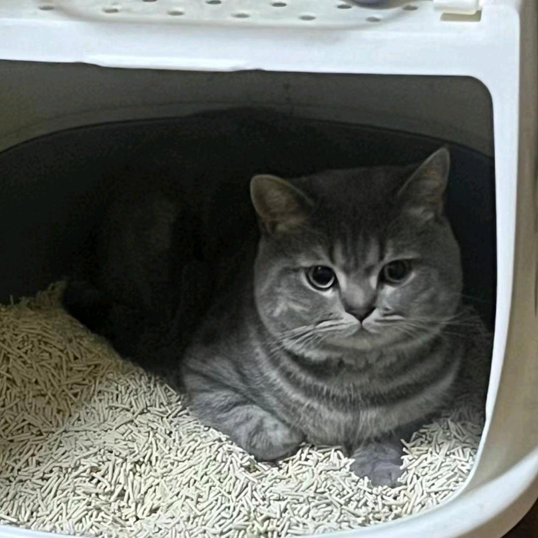 小桂滚滚